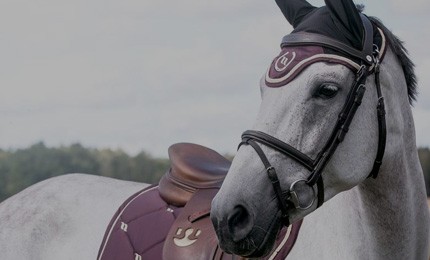 Gants d'équitation pour cavalières HKM Equine Sports – En Selle